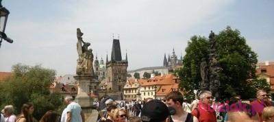 Marek, Mężczyzna, 61, Brzeg, Polska, Zdjęcie: 9
