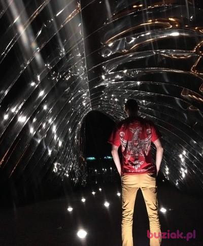 Dawid , Male, 37, Wrocław, Polska, Photo: 3