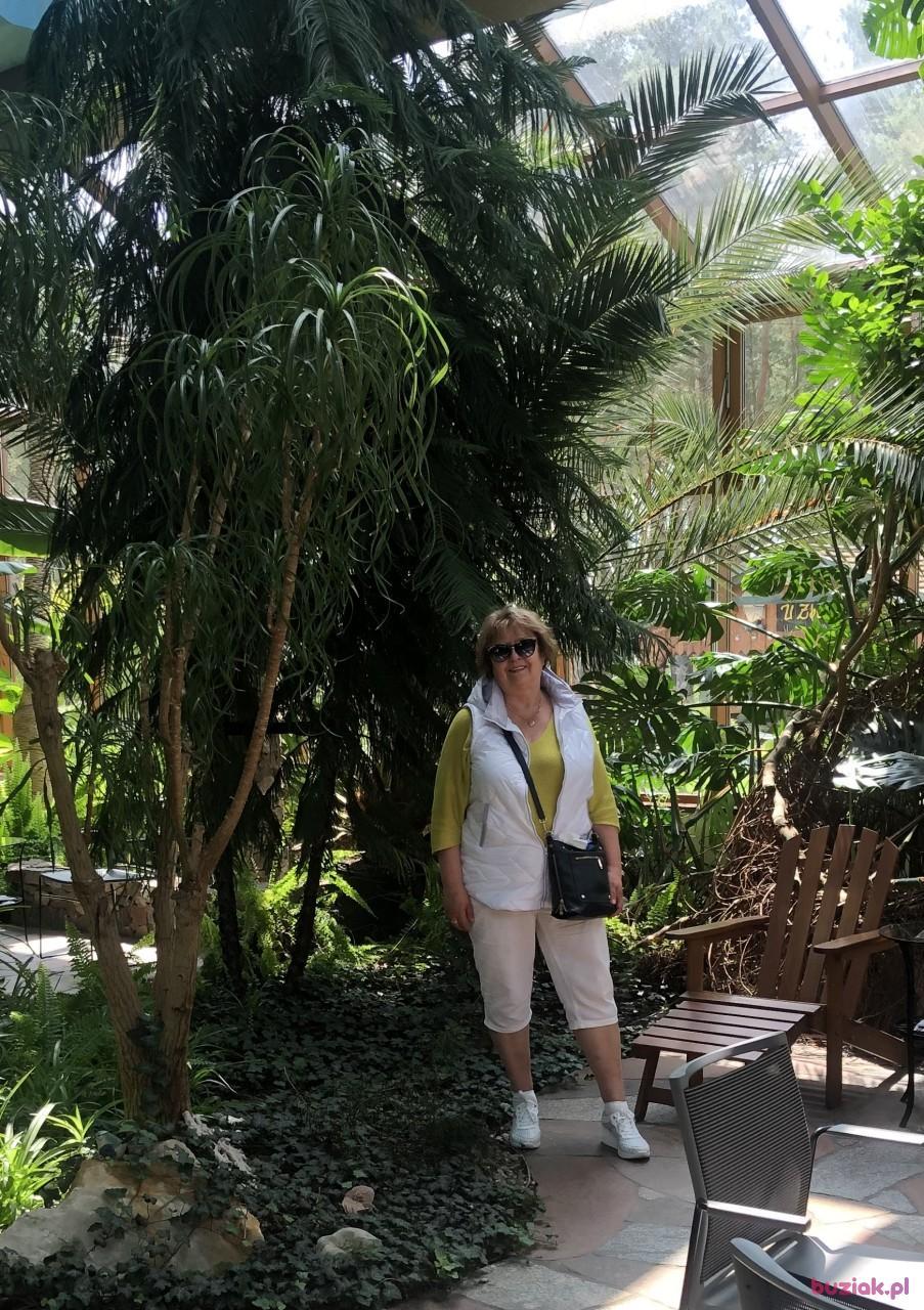 Teresa, Kobieta, 70, Westminster, Wielka Brytania, Zdjęcie: 6