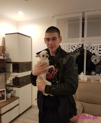 Adrian, Mężczyzna, 29, Chorzów, Polska, Zdjęcie: 2
