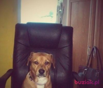 Dominika, Female, 33, Polska, Photo: 4