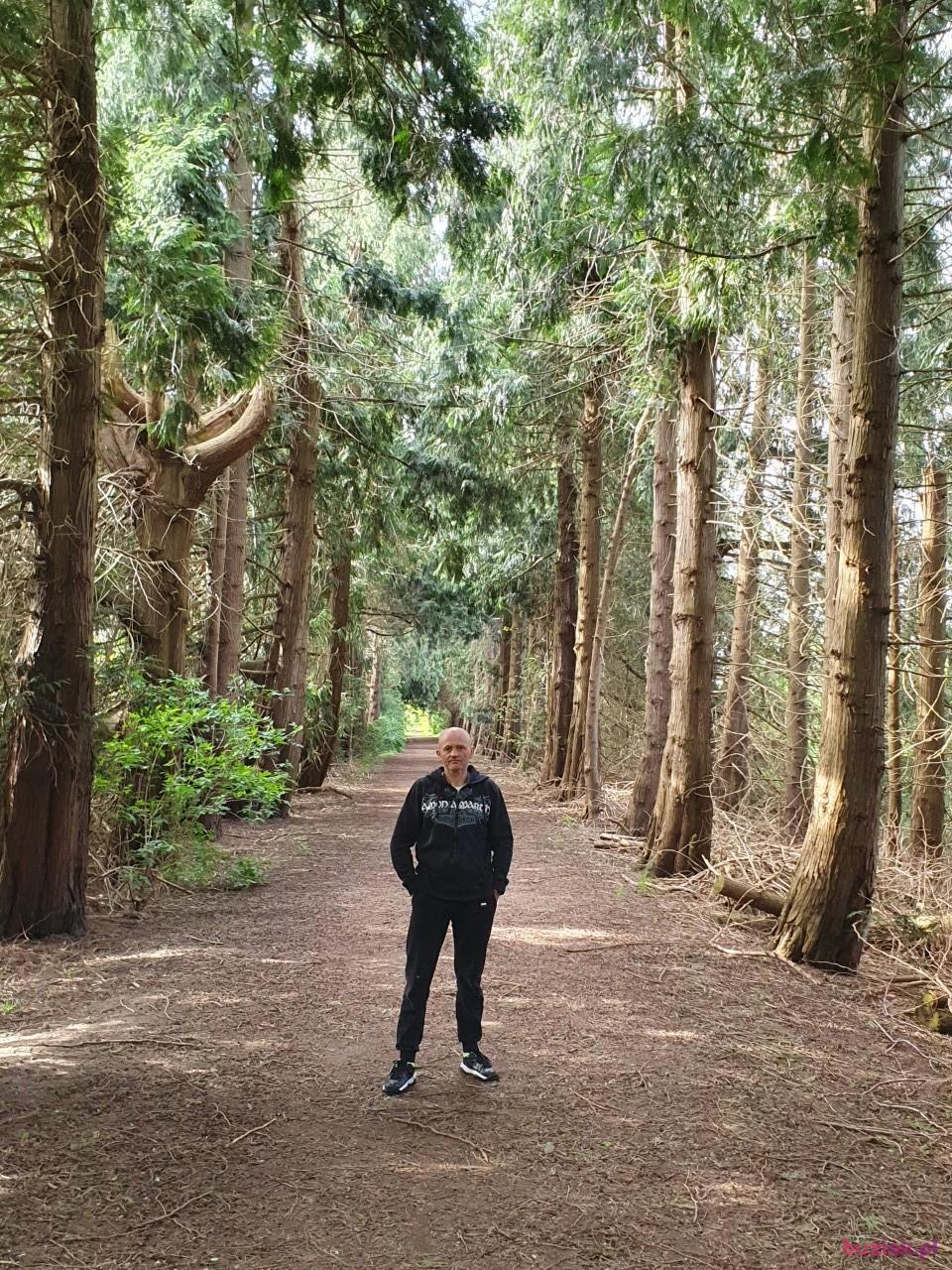 Tomasz, Mężczyzna, 43, Duisburg, Niemcy, Zdjęcie: 3