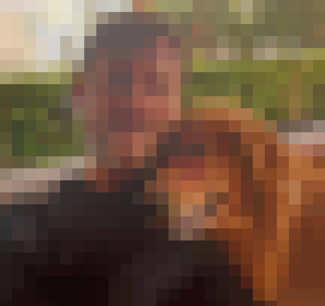 tony, Mężczyzna, 62, Wielka Brytania, Zdjęcie: 3