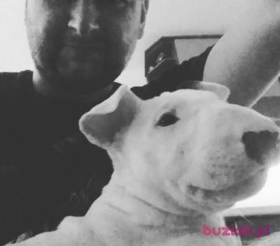 Łukasz, Mężczyzna, 44, Gdynia, Polska, Zdjęcie: 2