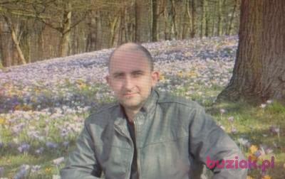 marcin, Mężczyzna, 54, Holandia, Zdjęcie: 2
