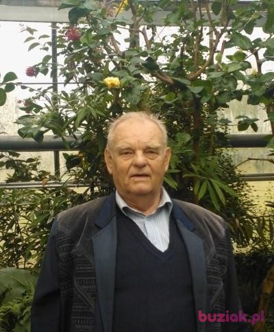 Antoni, Mężczyzna, 78, Radzymin, Polska, Zdjęcie: 2