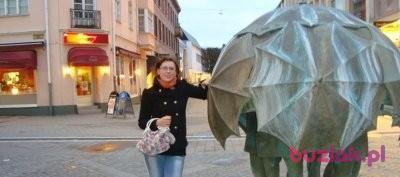 natalia, Kobieta, 39, Strzelce Krajeńskie, Polska, Zdjęcie: 3