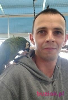 Krzysztof, Mężczyzna, 41, Ostróda, Polska, Zdjęcie: 5
