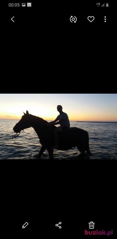 Przemek, Male, 54, Mosina, Polska, Photo: 4