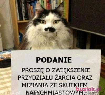 PIOTR, Mężczyzna, 52, Polska, Zdjęcie: 6