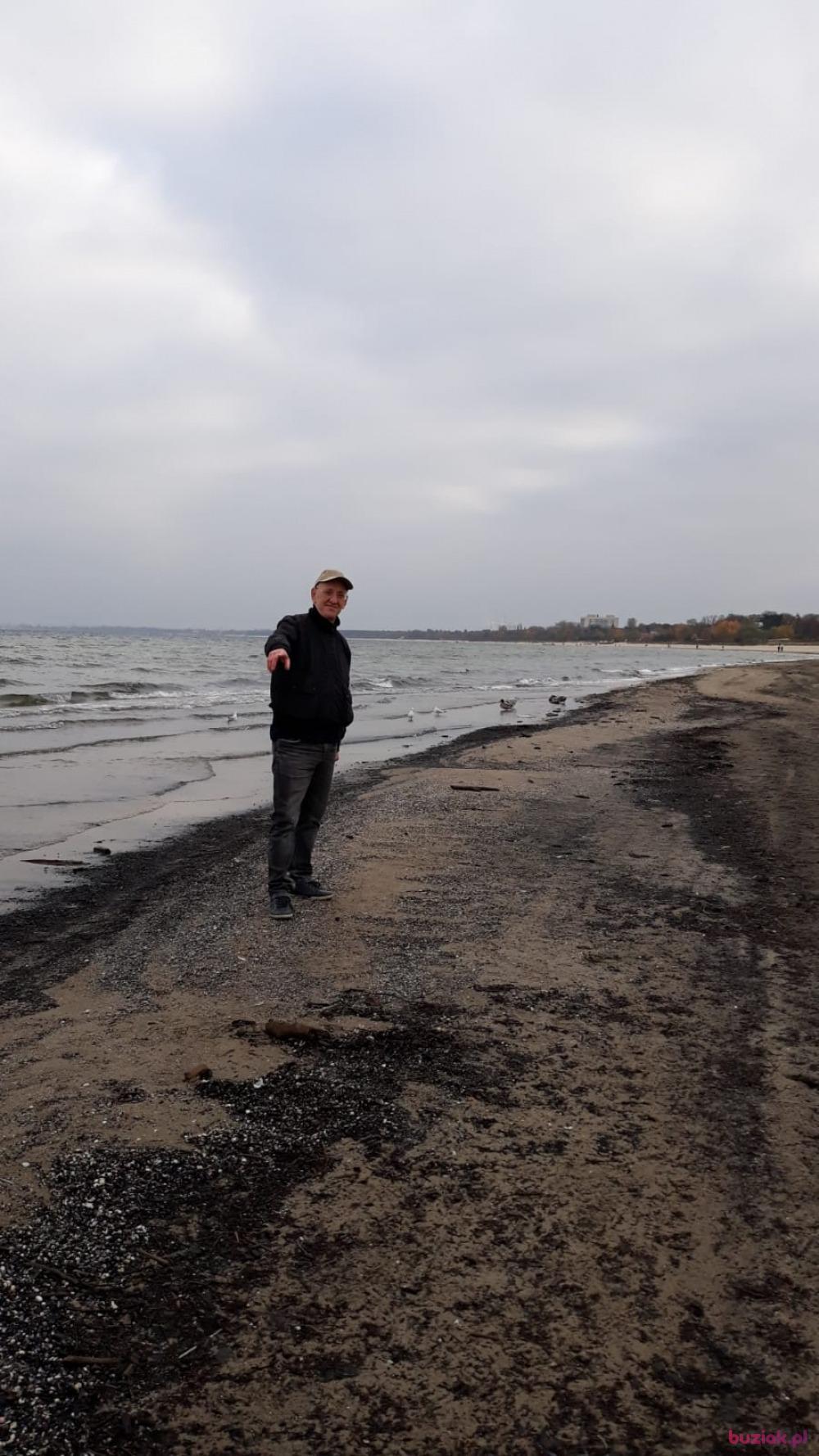 Grzegorz , Mężczyzna, 65, Elbląg, Polska, Zdjęcie: 5