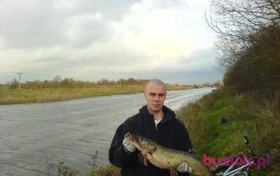 Marcin, Mężczyzna, 44, Mrocza, Polska, Zdjęcie: 3