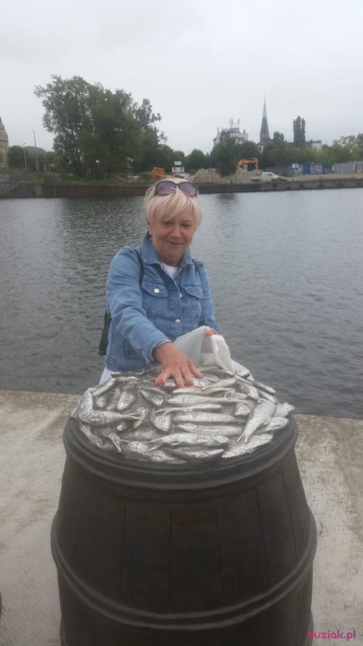 mszczecinianka, Female, 72, Szczecin, Polska, Photo: 1