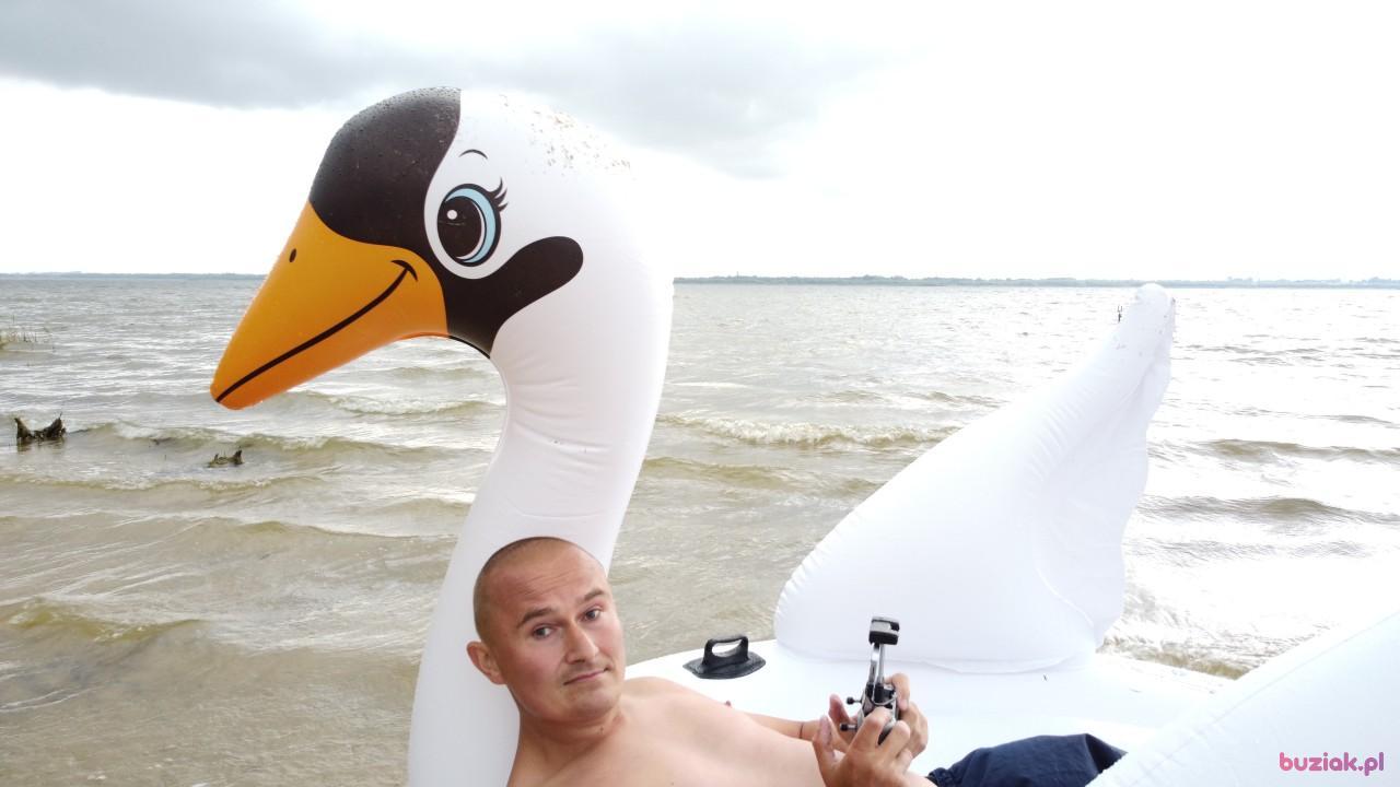 Michał, Male, 37, Zgierz, Polska, Photo: 554