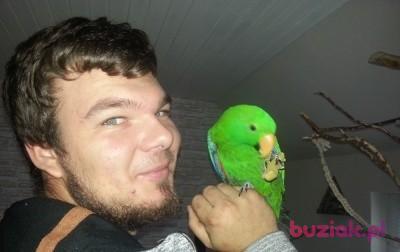 Daniel, Male, 31, Niemcy, Photo: 4