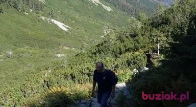 Grzesiek, Mężczyzna, 50, Niemcy, Zdjęcie: 3