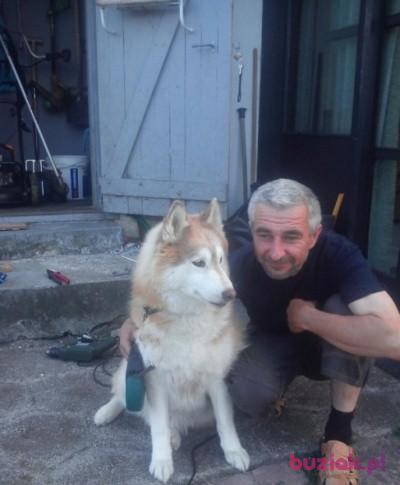 Andrzej, Male, 59, Copenhagen, Dania, Photo: 2