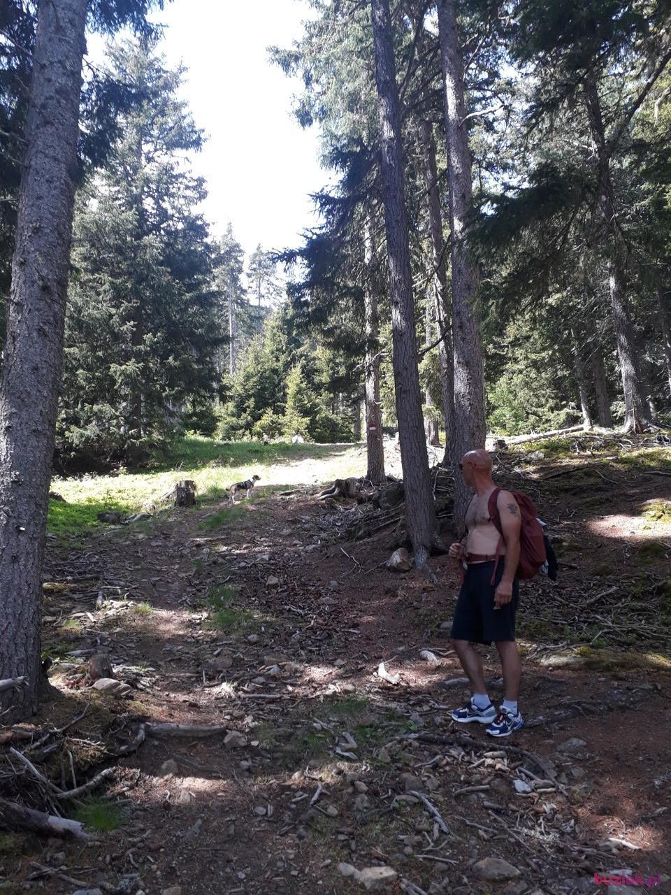 Przemek, Male, 47, Monachium, Niemcy, Photo: 2