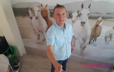 Arek , Mężczyzna, 46, Oss, Holandia, Zdjęcie: 2