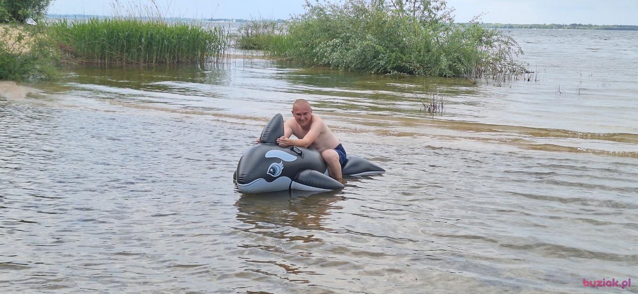 Michał, Male, 37, Zgierz, Polska, Photo: 355