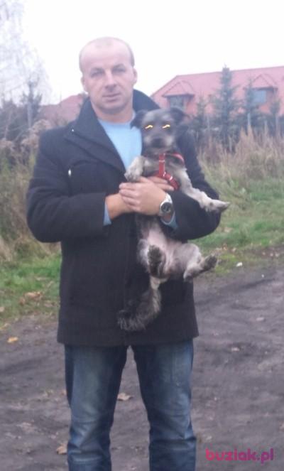 Tomasz, Mężczyzna, 56, Radomsko, Polska, Zdjęcie: 4