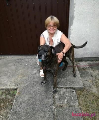 ewa, Kobieta, 62, Pabianice, Polska, Zdjęcie: 5