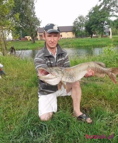 stanisław, Male, 46, Chełm, Polska, Photo: 2