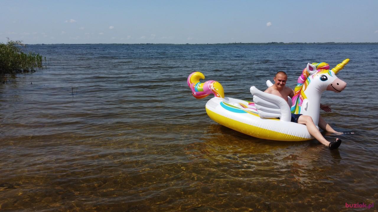 Michał, Male, 37, Zgierz, Polska, Photo: 431