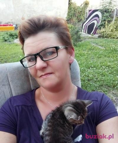Alicja, Kobieta, 50, Korfantów, Polska, Zdjęcie: 2