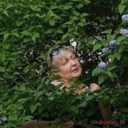 tylkojalux, Female, 64 years, Łódź