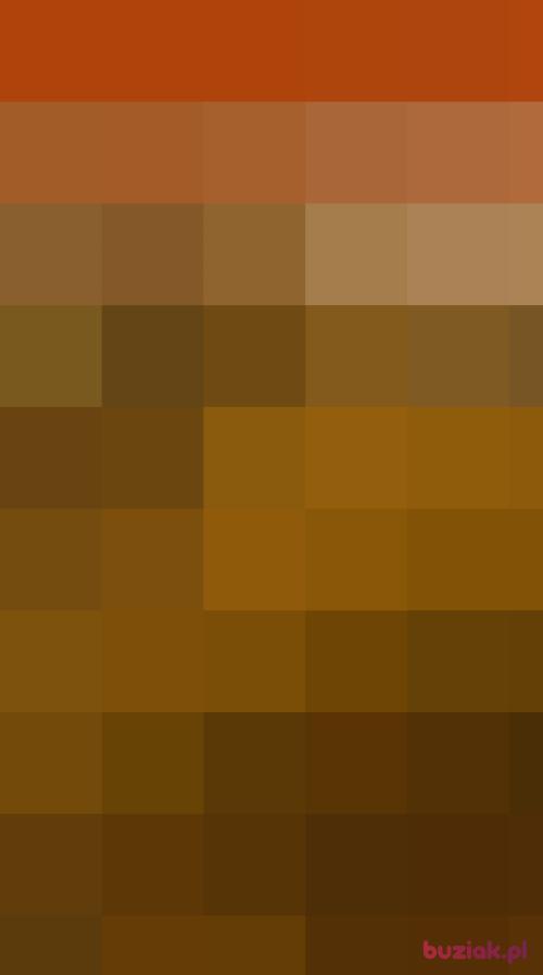 Pawwr, Male, 32 years, Wrocław