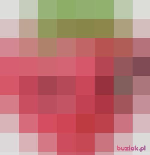 biedronkakasia, Female, 44 years, Grudziądz