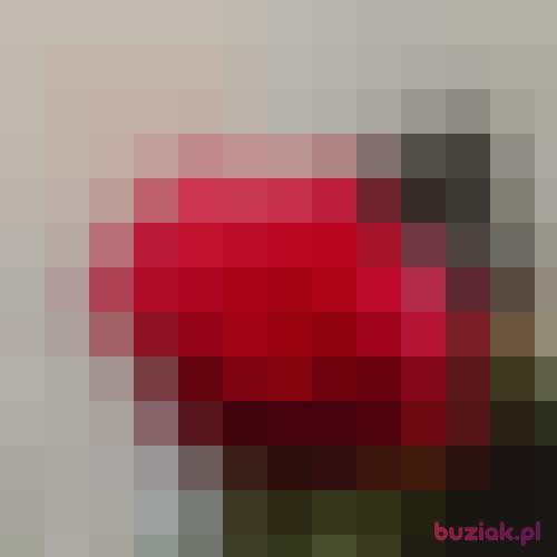max306, Male, 37 years, Berlin