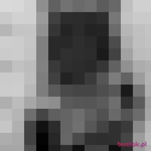 RnD, Male, 49 years, Łódź
