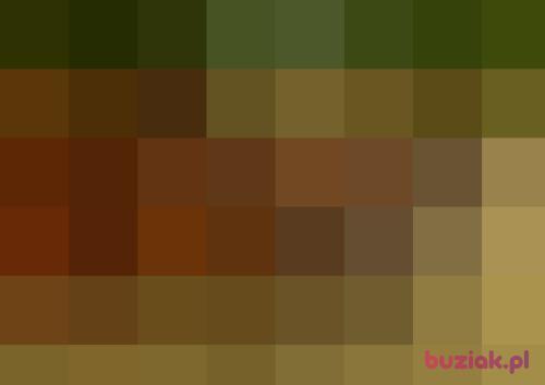 kuba0129, Male, 53 years, Jawor