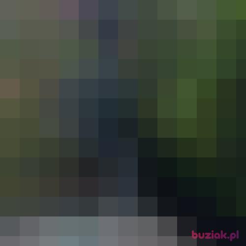 Axel1175abc, Male, 48 years, Bogatynia