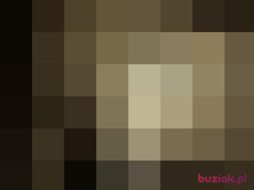 Sebeq, Male, 31 years, Rybnik
