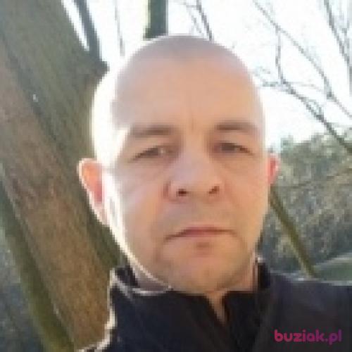willi79, Male, 47 years, Polkowice