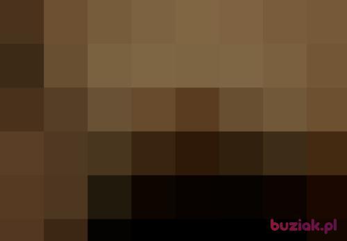 ammy, Male, 64 years, Lublin