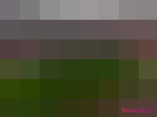 Nudziarz, Male, 32 years, Płock