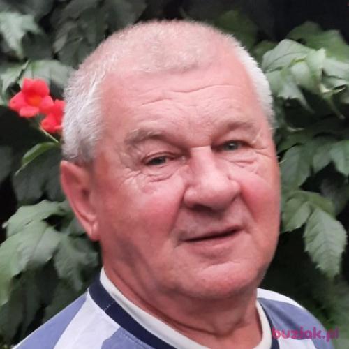 IKazimierz, Male, 75 years, Oława