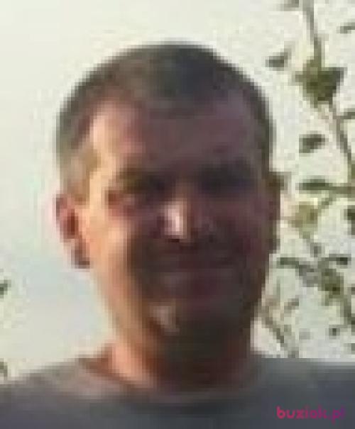 zbiniu100, Male, 53 years, Krosno Odrzańskie