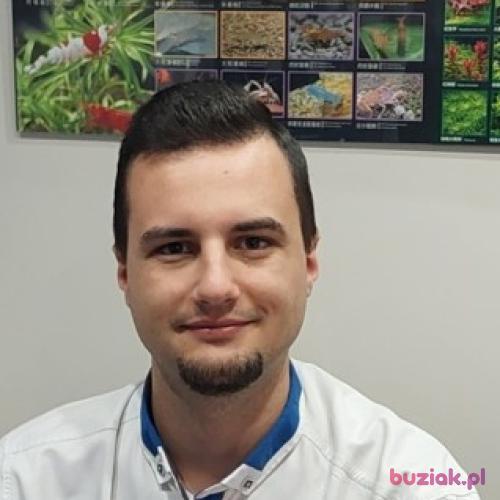 Mieciu121, Male, 27 years, Mielec