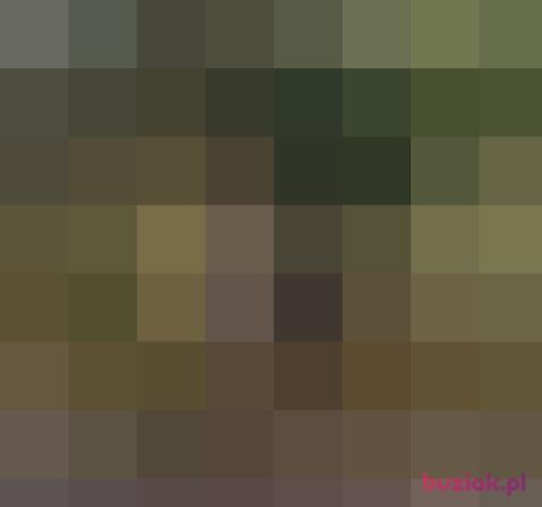 olaola5, Female, 59 years, Opole