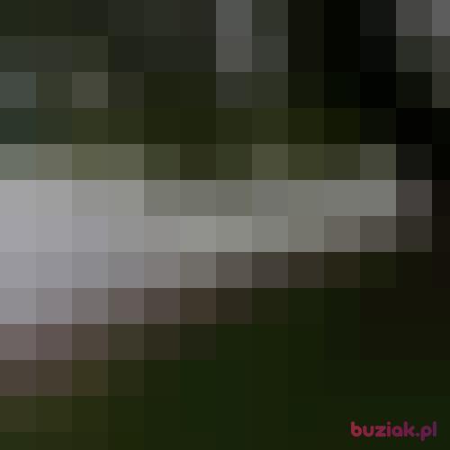 luka009, Male, 36 years, Lublin