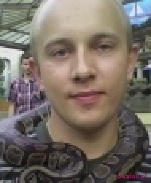 karol451, Male, 31 years, Kudowa Zdrój