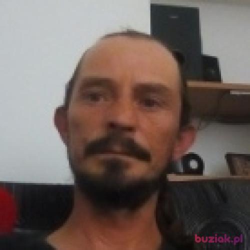 Ulfhedin, Male, 50 years, Biała