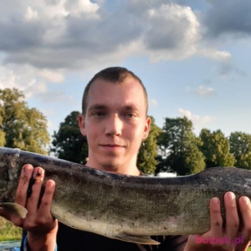 Mateusz2133, Male, 27 years, Oleśnica