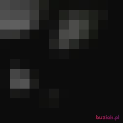 Huzar7, Male, 57 years, Łódź