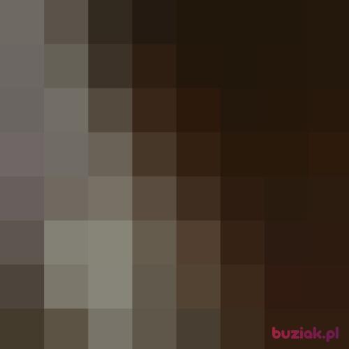 Kamilla38, Kobieta, 46 lat, Toruń